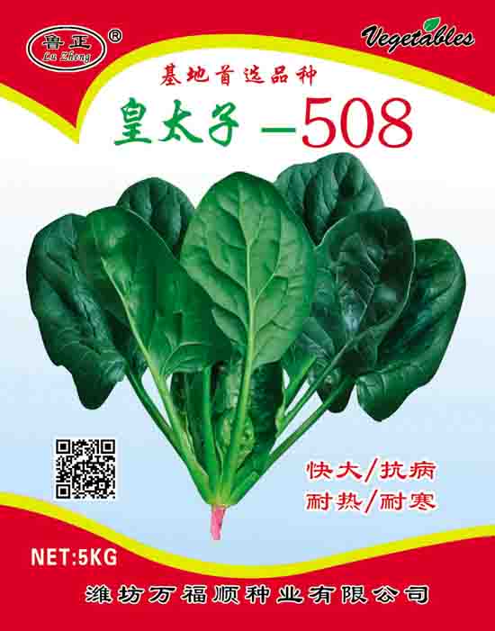 ̫508
